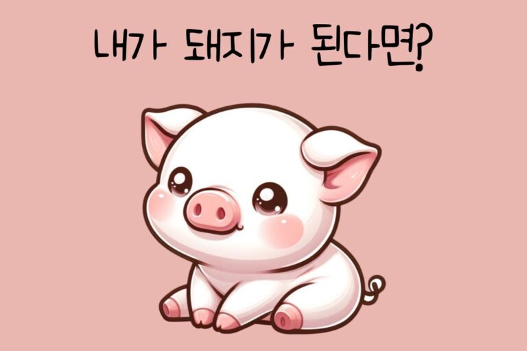 내가 돼지가 된다면? – 돼지 테스트