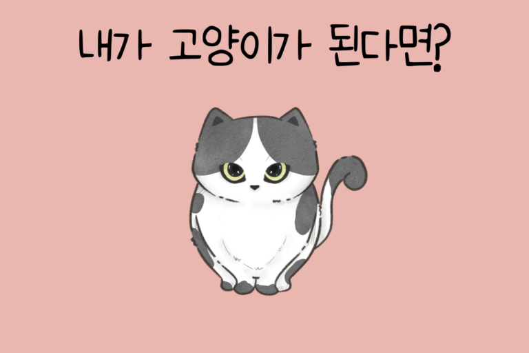 내가 고양이가 된다면? – 고양이 테스트