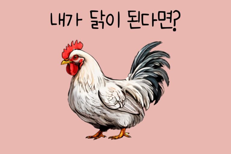 내가 닭이 된다면? – 닭 테스트