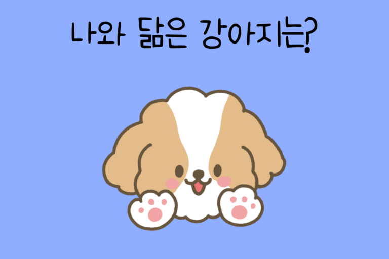 나와 닮은 강아지 테스트 – 나와 닮은 강아지 찾기