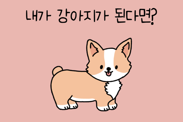 내가 강아지가 된다면? – 강아지 테스트
