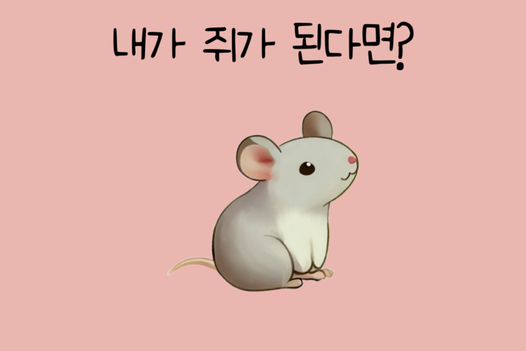 내가 쥐가 된다면? – 쥐 테스트