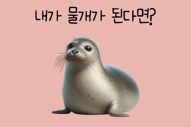 내가 물개가 된다면? – 물개 테스트