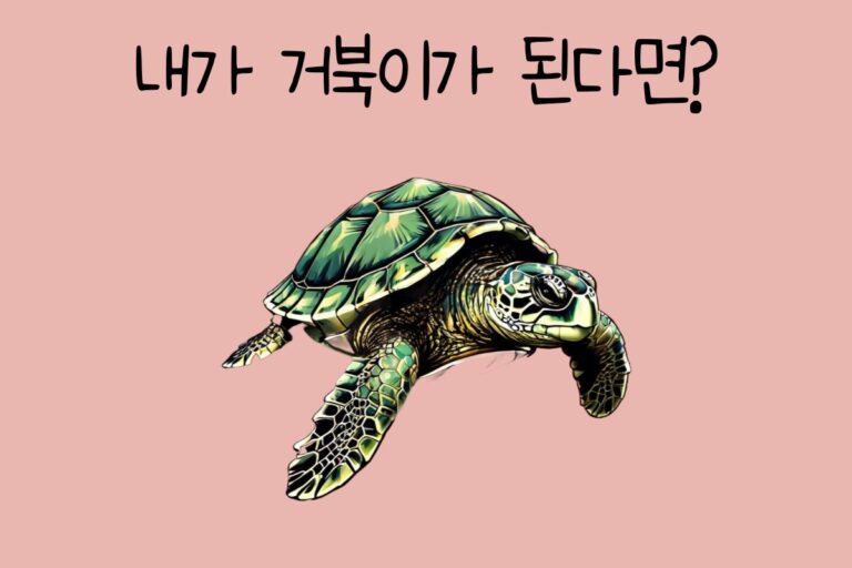 내가 거북이가 된다면? – 거북이 테스트