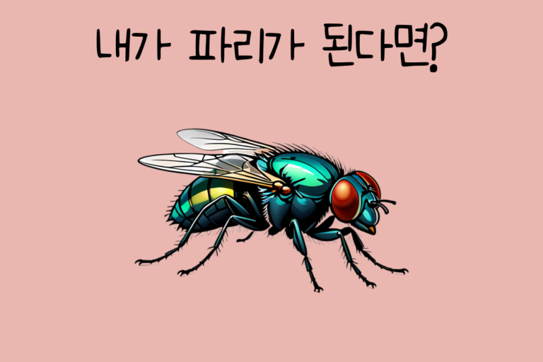 내가 파리가 된다면? – 파리 테스트