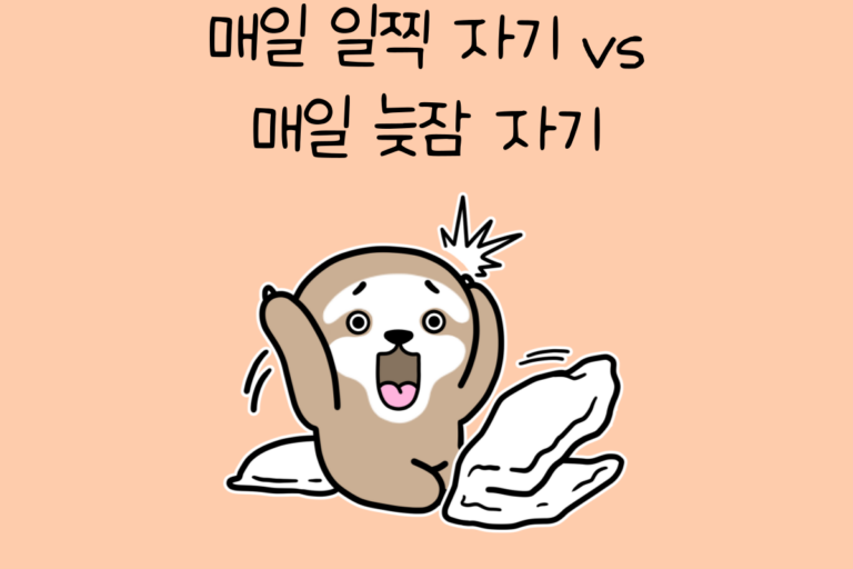 매일 일찍 일어나기 vs 매일 늦잠 자기