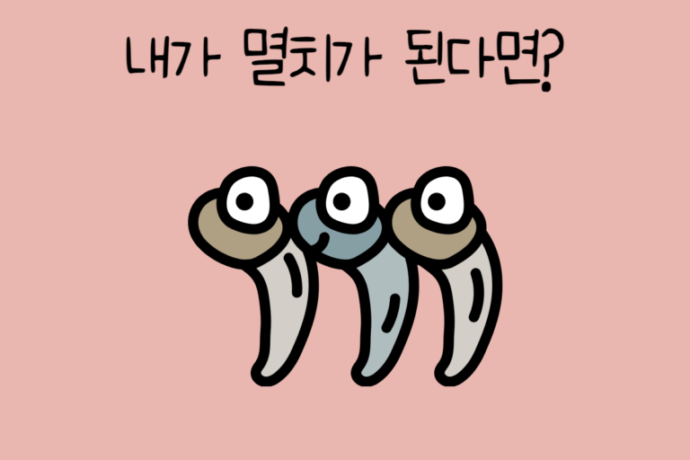내가 멸치가 된다면? – 멸치 테스트