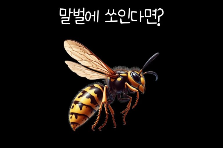 말벌에 쏘인다면?