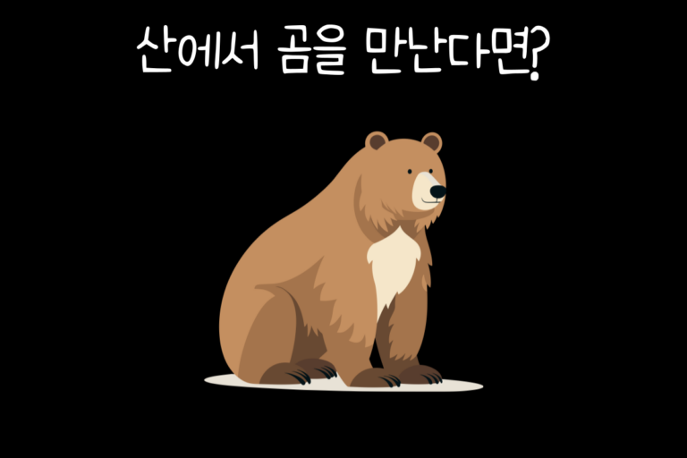 산에서 곰을 만난다면?
