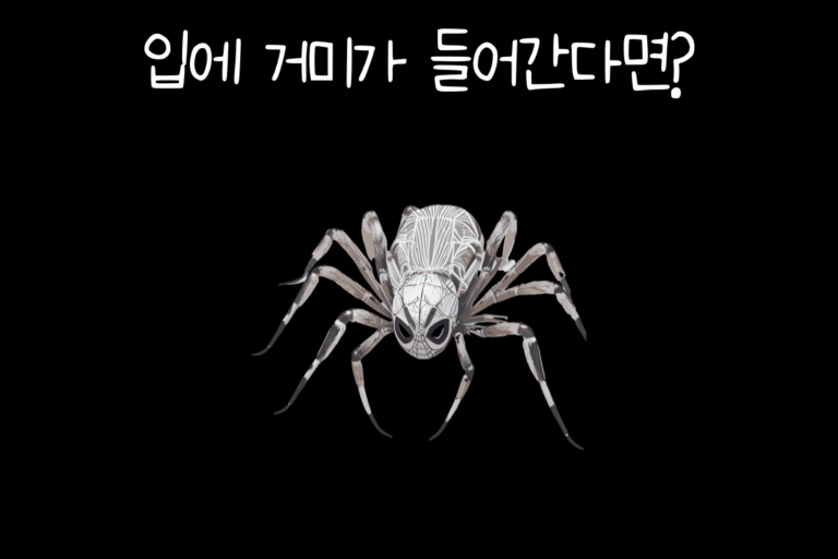 입에 거미가 들어간다면?