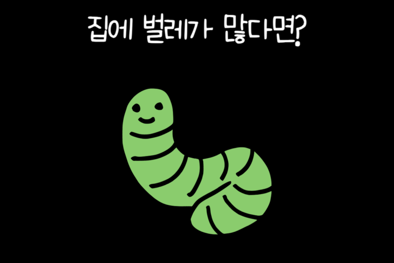 집에 벌레가 많다면?