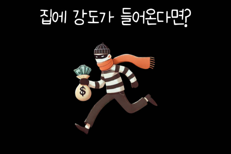 집에 강도가 들어온다면?