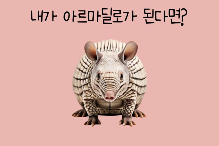 내가 아르마딜로가 된다면?