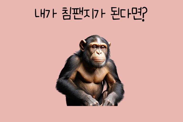 내가 침팬지가 된다면?