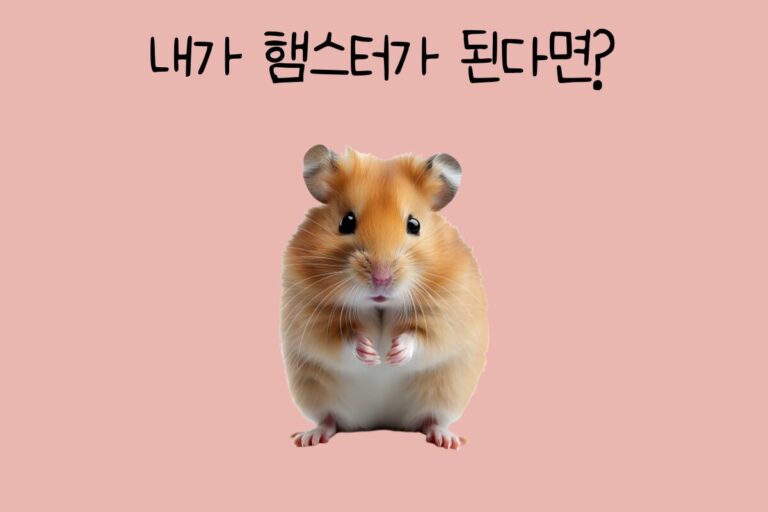 내가 햄스터가 된다면?