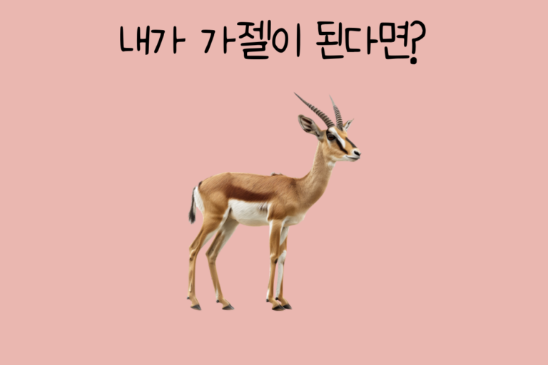 내가 가젤이 된다면?