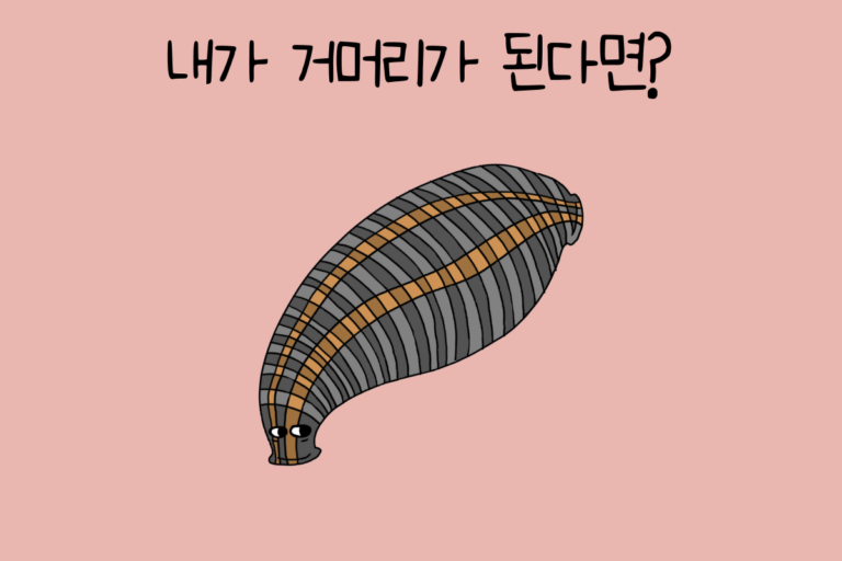 내가 거머리가 된다면?