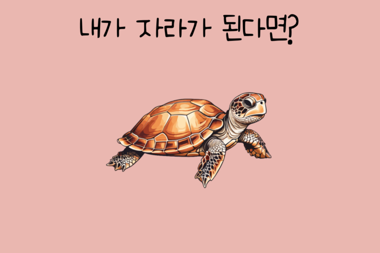 내가 자라가 된다면?