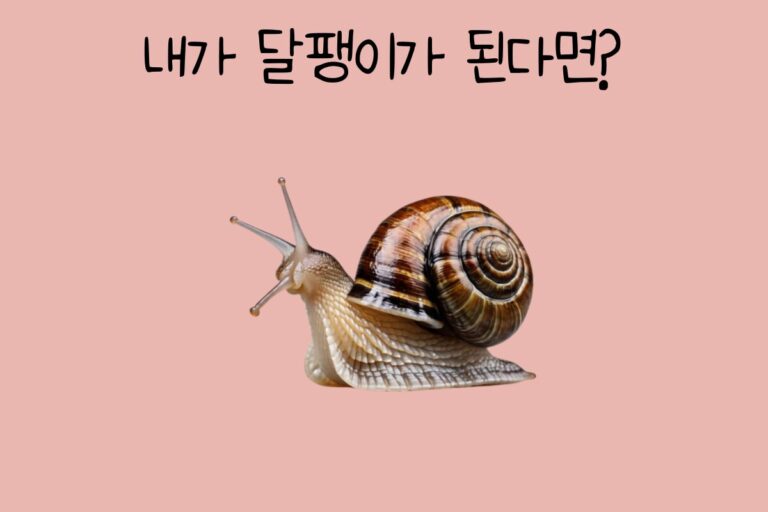 내가 달팽이가 된다면?