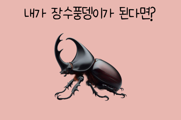 내가 장수풍뎅이가 된다면?