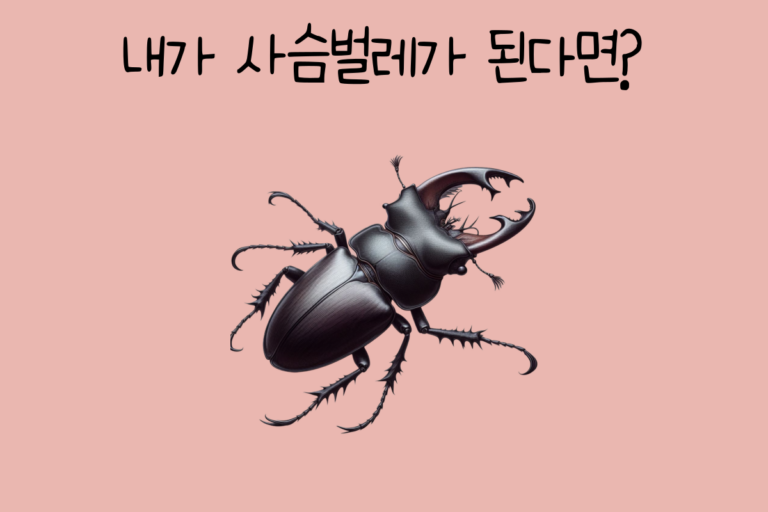내가 사슴벌레가 된다면?