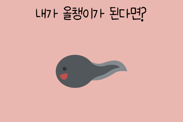 내가 올챙이가 된다면?