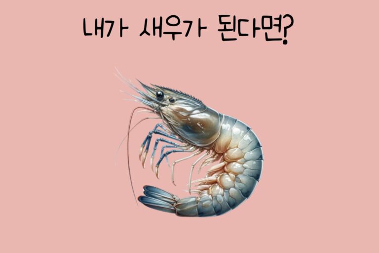 내가 새우가 된다면?
