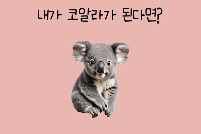 내가 코알라가 된다면?