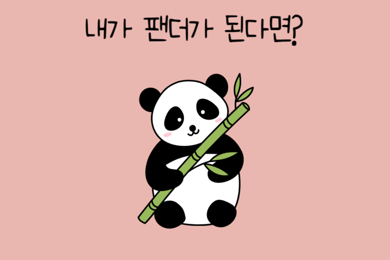 내가 팬더가 된다면?