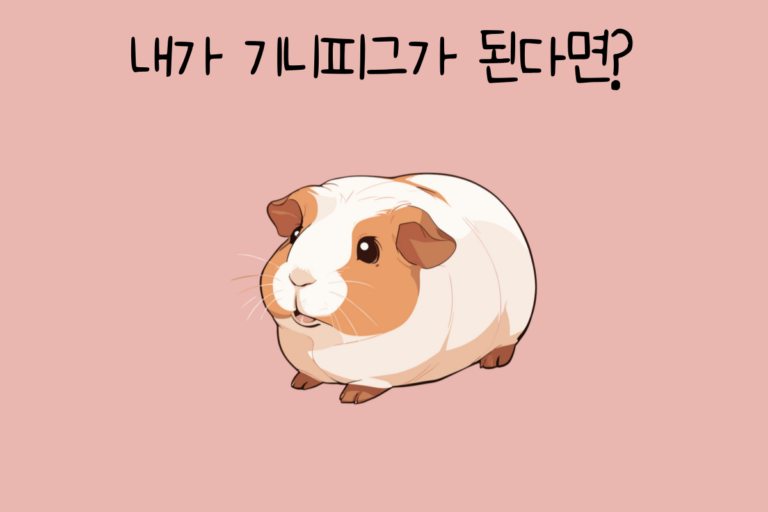 내가 기니피그가 된다면?