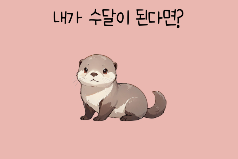 내가 수달이 된다면?