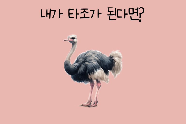 내가 타조가 된다면?