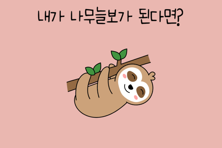 내가 나무늘보가 된다면?