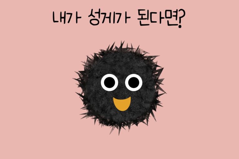 내가 성게가 된다면?
