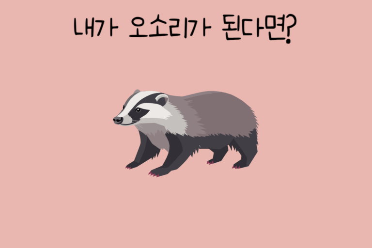 내가 오소리가 된다면?