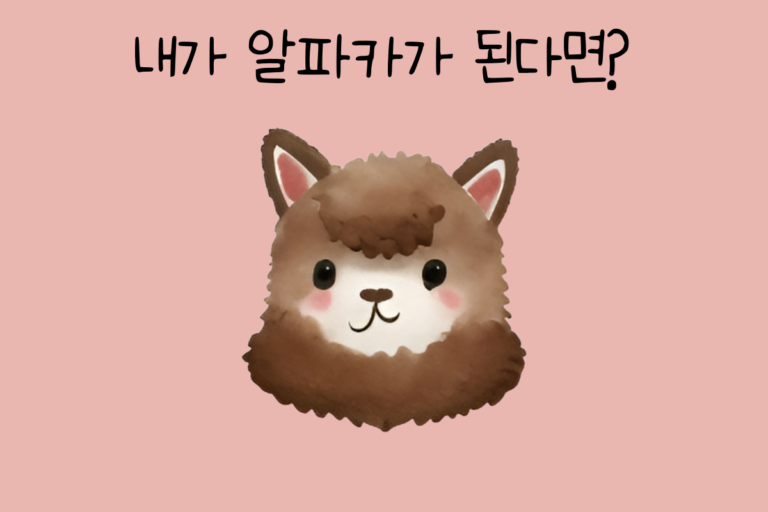 내가 알파카가 된다면?