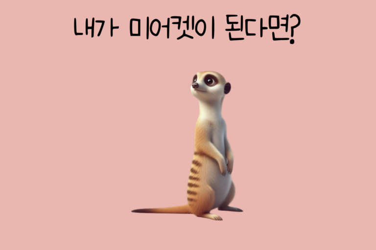 내가 미어켓이 된다면?