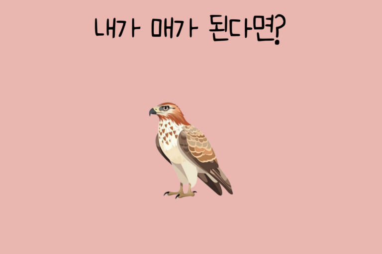 내가 매가 된다면?