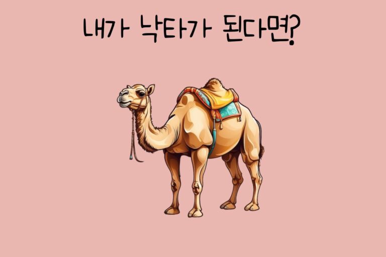 내가 낙타가 된다면?
