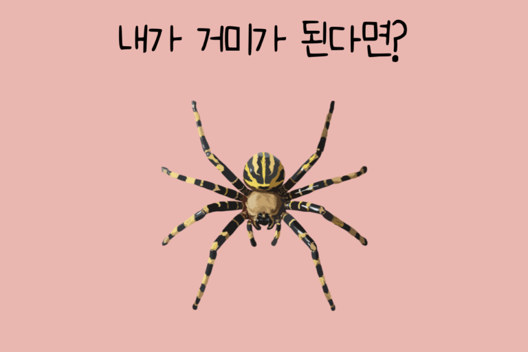 내가 거미가 된다면?