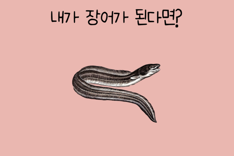 내가 장어가 된다면?