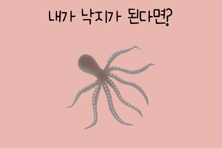 내가 낙지가 된다면?