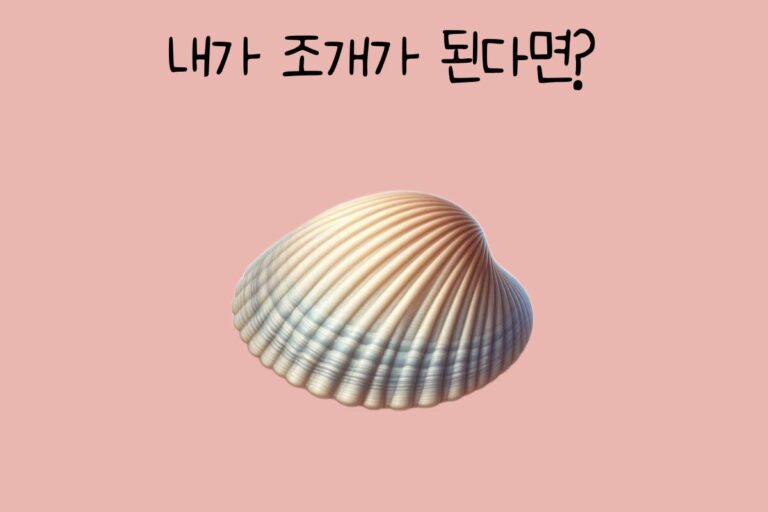 내가 조개가 된다면?