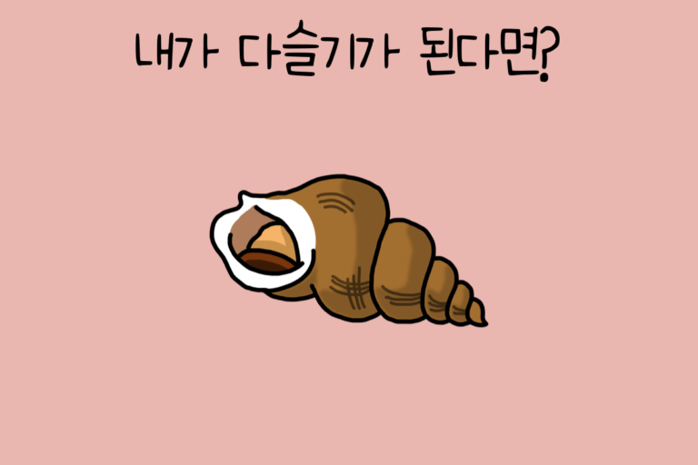내가 다슬기가 된다면?