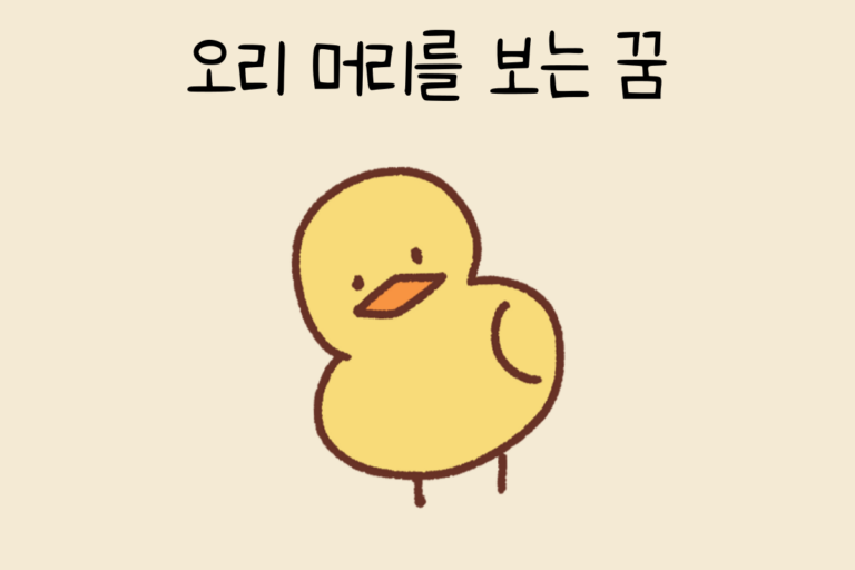 오리 머리를 보는 꿈 해몽