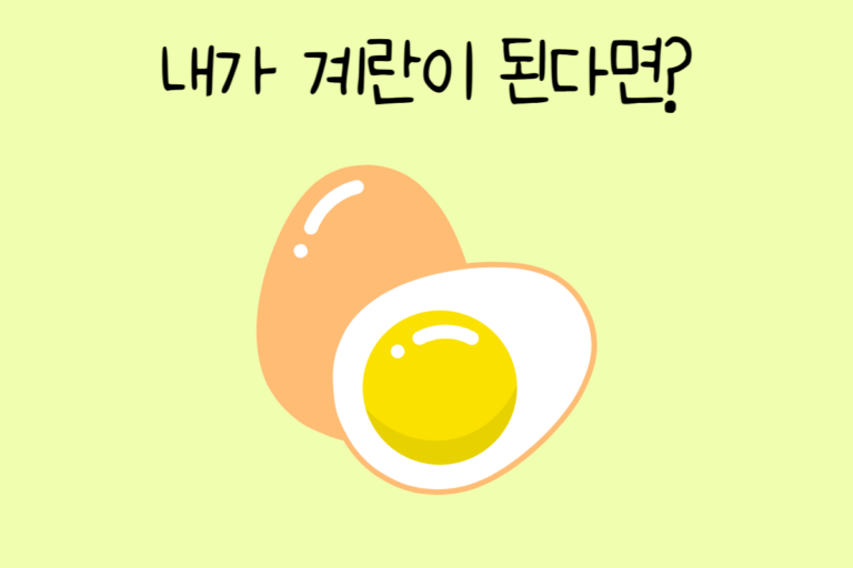 내가 계란이 된다면? 테스트