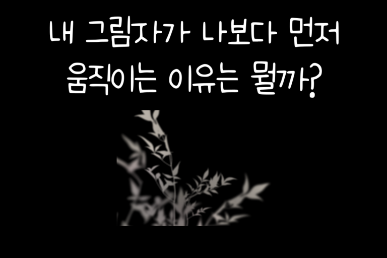내 그림자가 나보다 먼저 움직이는 이유는 뭘까?