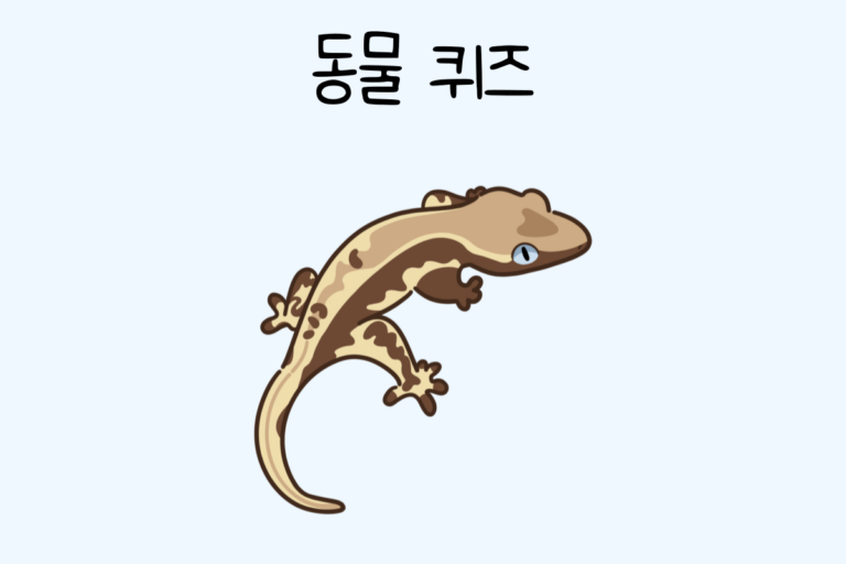동물 퀴즈