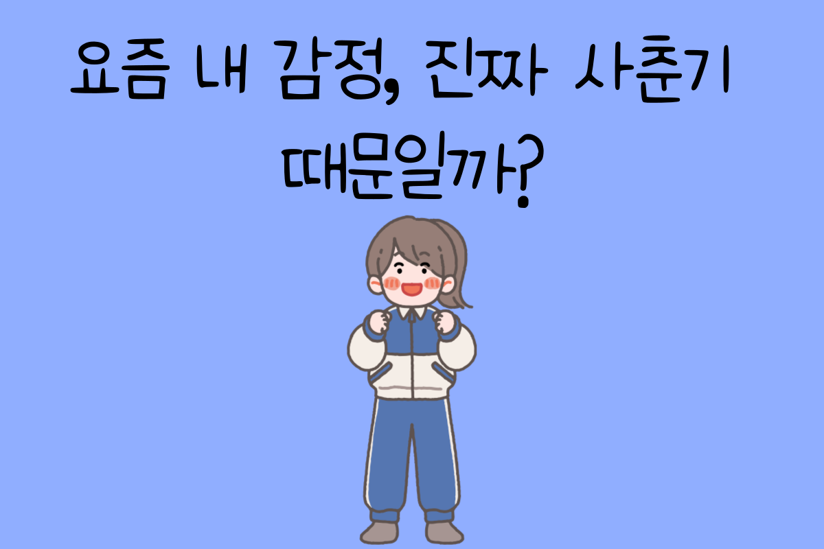 일상 테스트