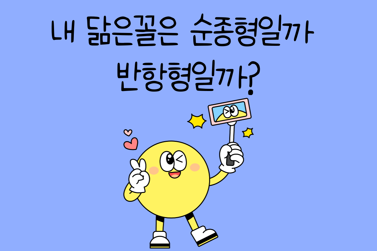 일상 테스트